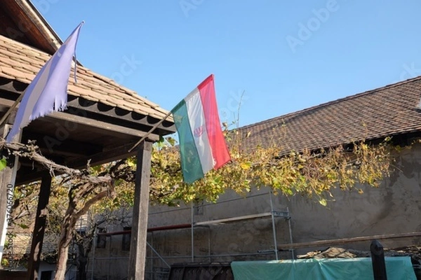 Fototapeta hungary flag