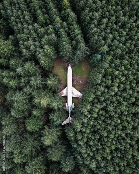 Obraz Plane in forest look down 