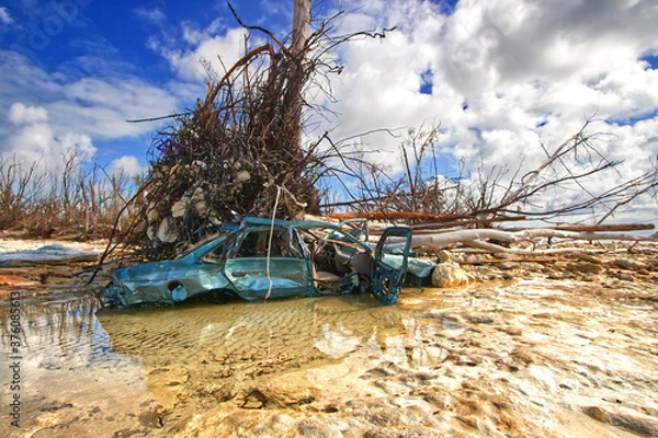 Fototapeta Huge tree trunk on top of a vehicle by a ocean coast