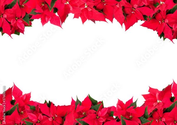 Obraz Christmas Frame