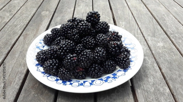 Obraz Zbiory jeżyny