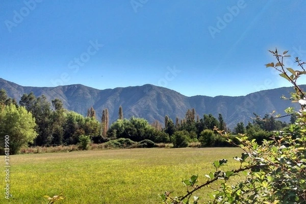 Obraz predio de campo en doñihue, chile