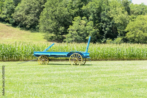Obraz antique wagon in a field