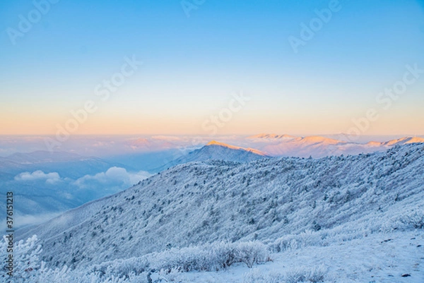 Fototapeta 하얀 겨울의 상고대