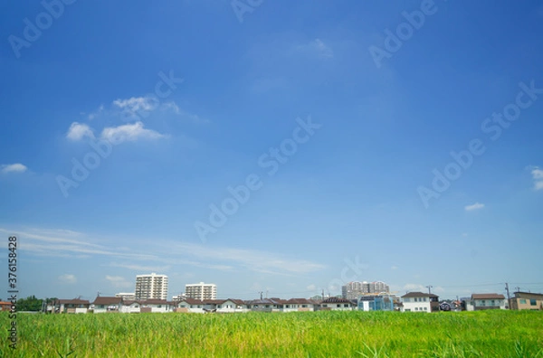 Obraz 住宅街　緑と青空