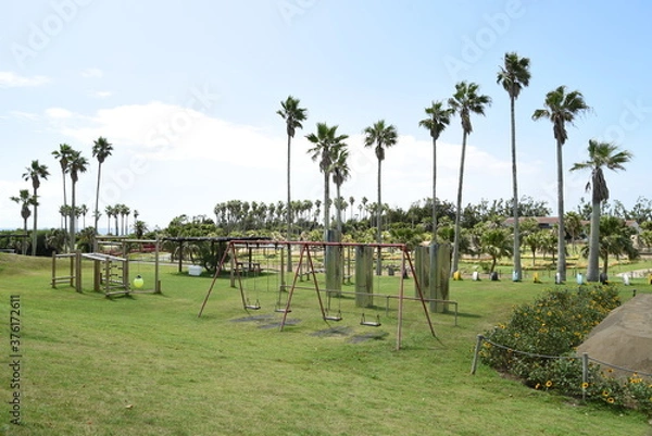 Obraz ヤシの木と公園。リゾート気分を満喫