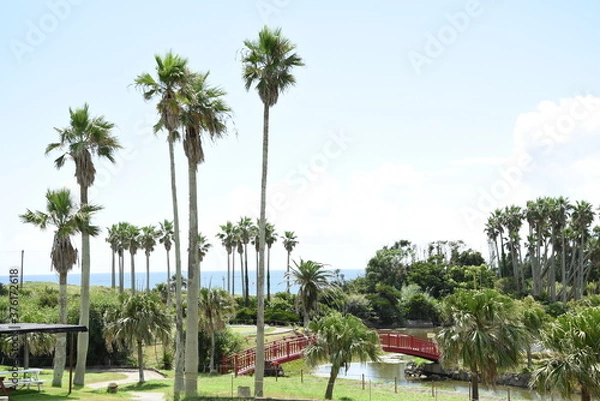 Obraz リゾート気分を満喫