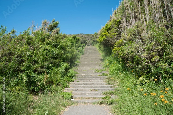 Obraz 試練の階段