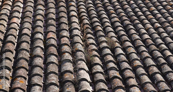 Fototapeta Textura tejas