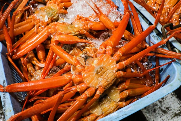 Obraz 香住漁港香住かに競り