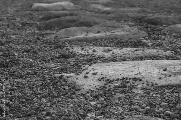 Obraz the stone path