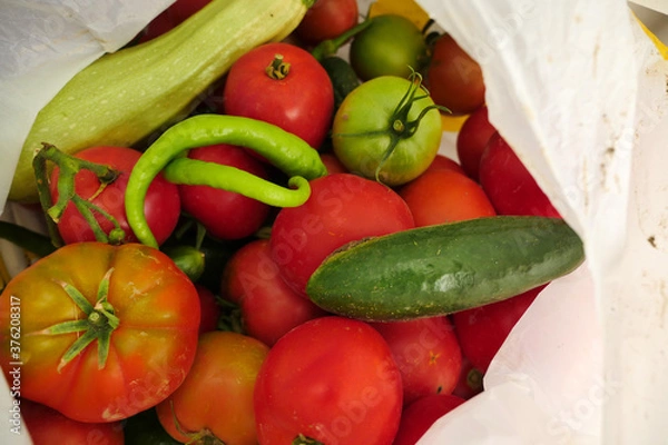 Fototapeta natural tomatoes, peppers, cucumbers, organic vegetables, in a bag