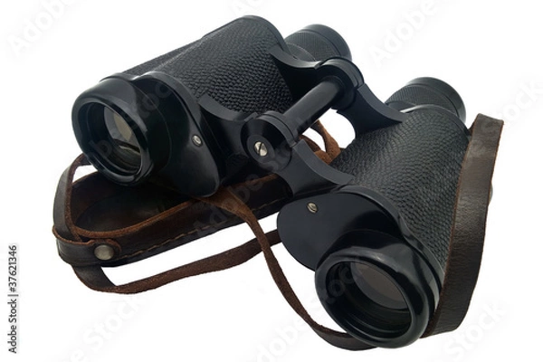 Obraz Binocular