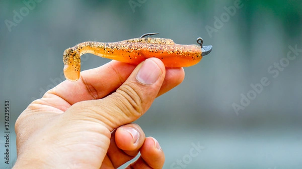 Fototapeta fishing lure held in hand,a fishing lure is a type of artificial fishing bait used to attract fish. Lures come in many different shapes, sizes, and colors, each designed to attract fish