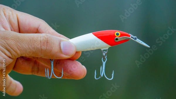 Fototapeta fishing lure held in hand,a fishing lure is a type of artificial fishing bait used to attract fish. Lures come in many different shapes, sizes, and colors, each designed to attract fish