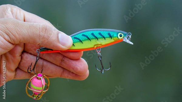 Fototapeta fishing lure held in hand,a fishing lure is a type of artificial fishing bait used to attract fish. Lures come in many different shapes, sizes, and colors, each designed to attract fish