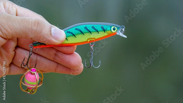 Fototapeta fishing lure held in hand,a fishing lure is a type of artificial fishing bait used to attract fish. Lures come in many different shapes, sizes, and colors, each designed to attract fish