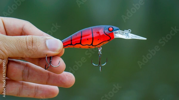 Fototapeta fishing lure held in hand,a fishing lure is a type of artificial fishing bait used to attract fish. Lures come in many different shapes, sizes, and colors, each designed to attract fish