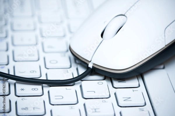 Obraz mouse on  the keyboard