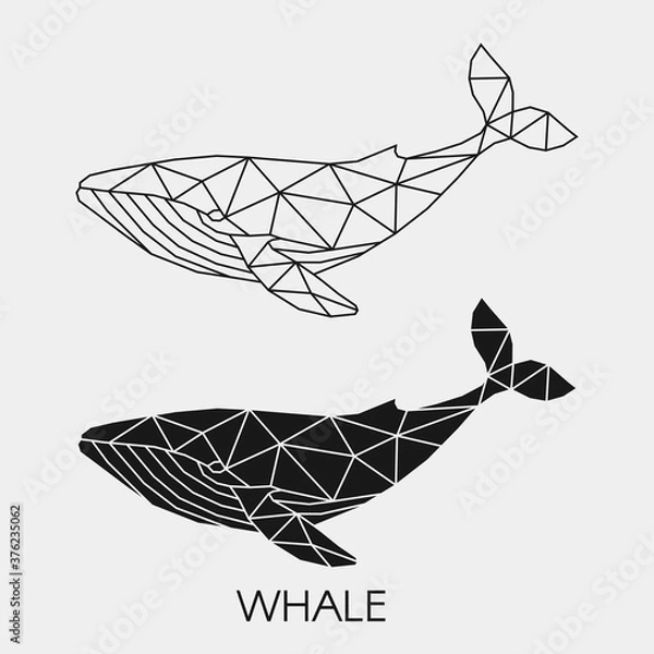 Obraz Wieloryb geometryczny liniowy. Streszczenie wielokątne zwierzę oceanu. Ilustracji wektorowych.