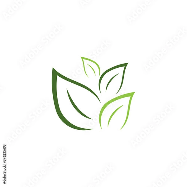 Fototapeta Leaf  ecology Logo Template vector