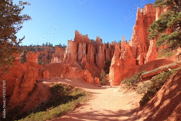 Obraz Close up view of Bryce Canyon rock hoodoos with hiking trail at Bryce Canyon National Park in Utah, USA