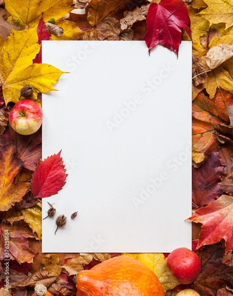 Obraz Flat white A4 paper sheet lying in front of an autumn composition with colorful foliage and autumn decoration frame season thanksgiving festivity invitation letter sale social media marketing