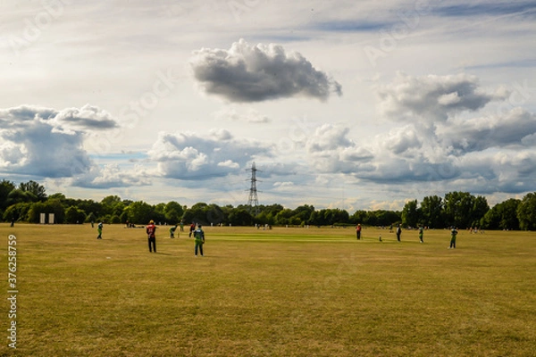 Obraz Cricket on Hackney Marshes