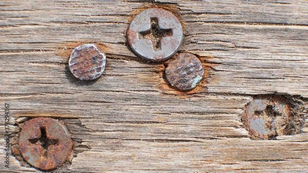 Obraz The self-tapping screw is screwed into the panel in close-up. Blurred background