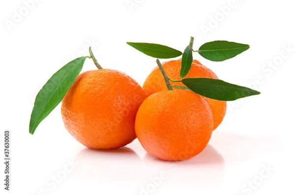 Fototapeta Fresh Mandarins