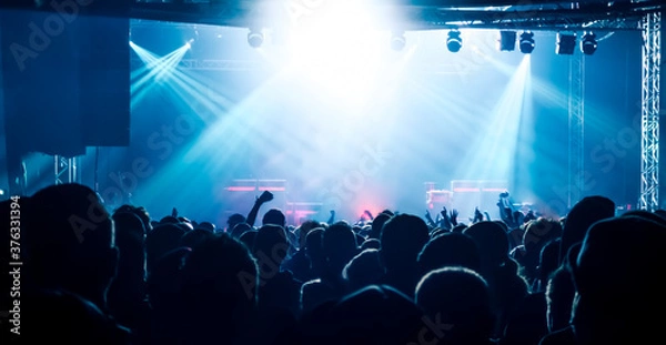 Obraz Concert crowd at rock concert