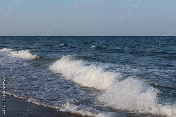 Obraz Frolicking Ocean Waves