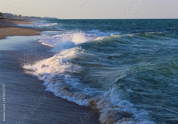 Obraz Frolicking Ocean Waves