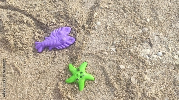 Fototapeta starfish on the beach