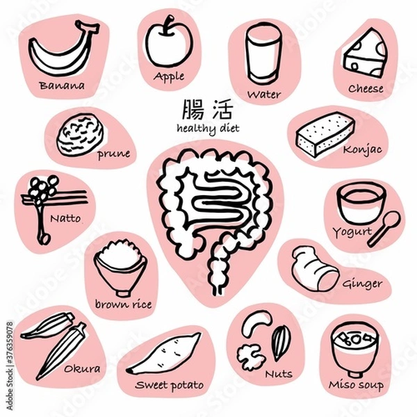 Obraz 腸の動きを活発にしてくれる食べ物セット手書き線画 ピンク