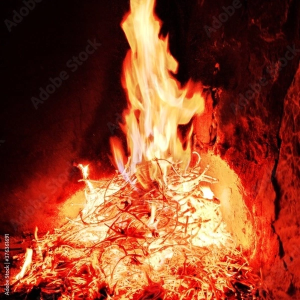 Obraz fire in the fireplace