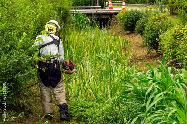 Obraz 電動草刈機で草刈り作業