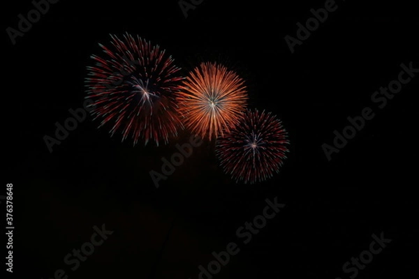 Fototapeta 2019ふくろい遠州の花火