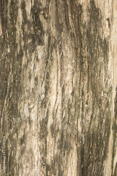 Obraz Si Thep Historical Park