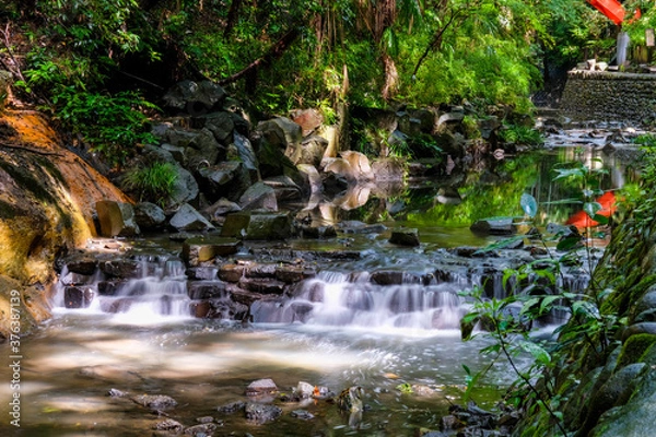 Fototapeta 【東京都】等々力渓谷【2020】