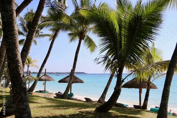Obraz Plage de sable blanc Trou-aux-biches - Ile Maurice