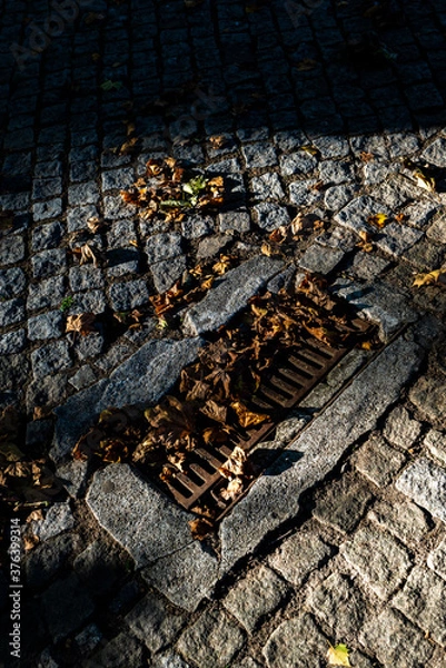 Obraz gutter obstructed by leaves on cobblestone street