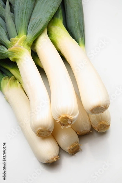 Obraz 下仁田ねぎ