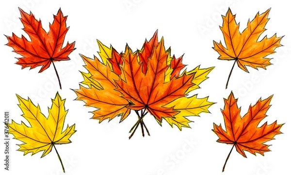 Fototapeta Set of digital sketch maple leaves and bouquet. Arrangement of autumn colored foliage isolated on white. Watercolor imitation bright dark and light colors with stains. Fall, bundle, natural product