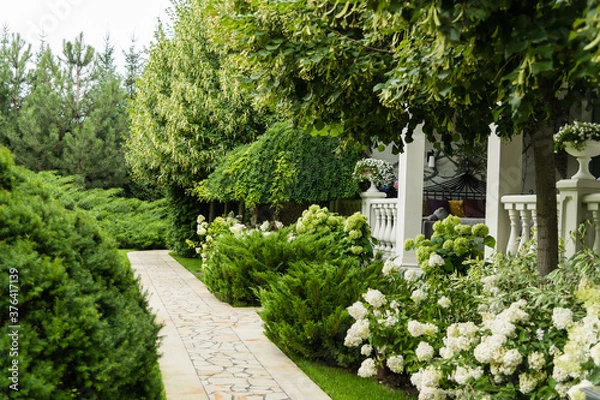 Obraz park with flowers