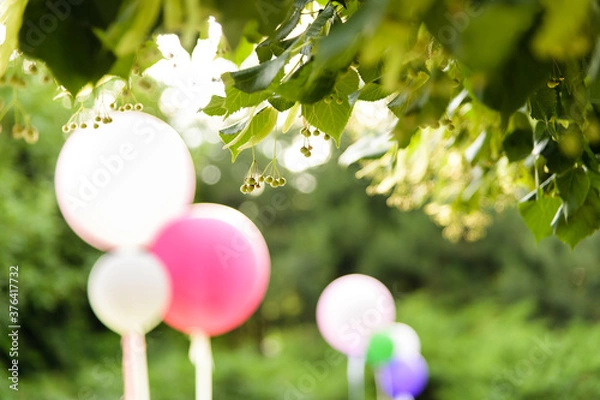 Fototapeta colorful balloons in sky