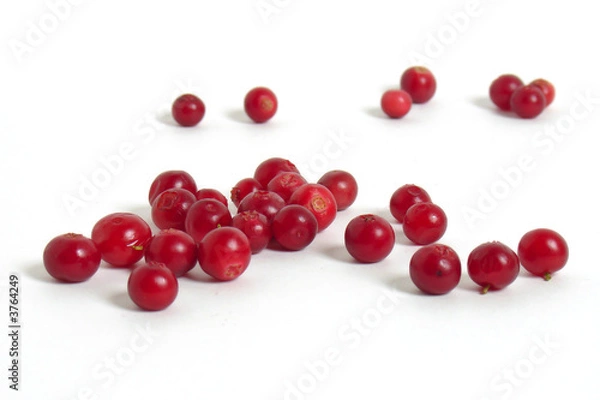 Fototapeta Rozrzucanie żurawiny na białym tle