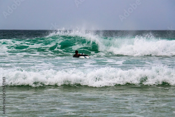 Obraz surfing the waves