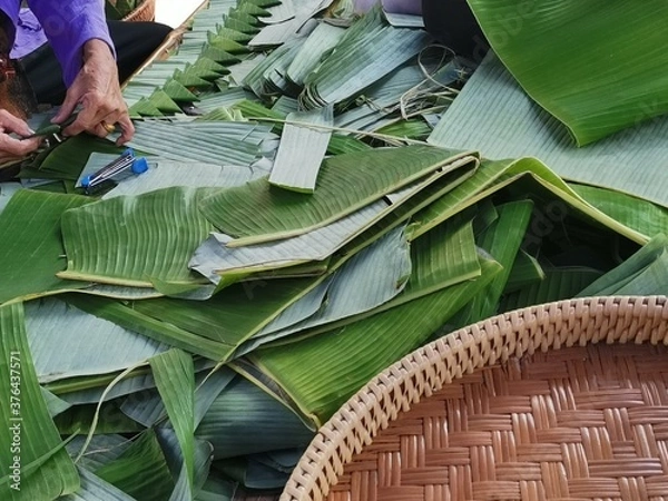 Obraz banana leaf