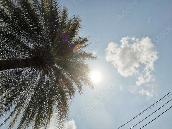 Obraz power lines in the sky